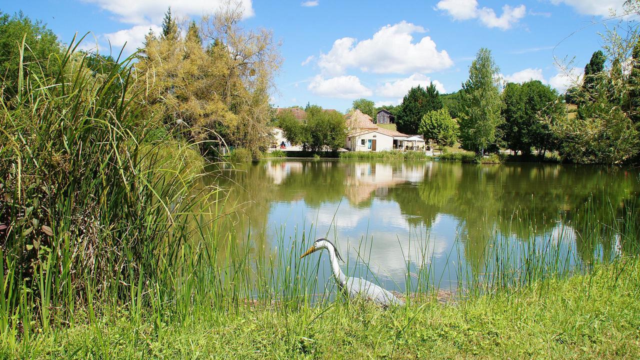 Le Domaine De L'Etang De Sandanet Issac Exterior photo